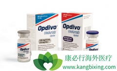 ���pd-1����۸� ����pd-1Ŀǰ����ʲô�׶Σ�