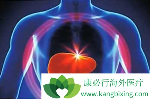 丙肝治疗方法