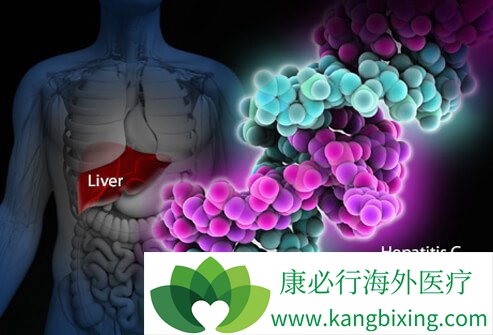 丙肝治疗方法