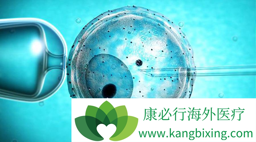 试管婴儿