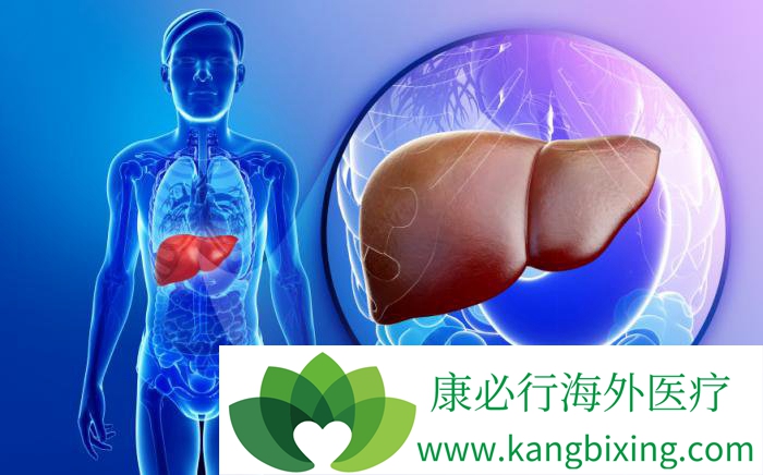 什么是丙肝