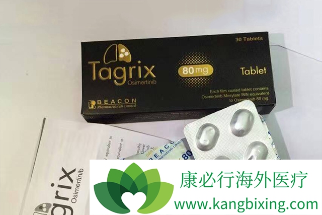 osimertinibһ�����Ʒ�Сϸ���ΰ����ͻ�ƽ�չ