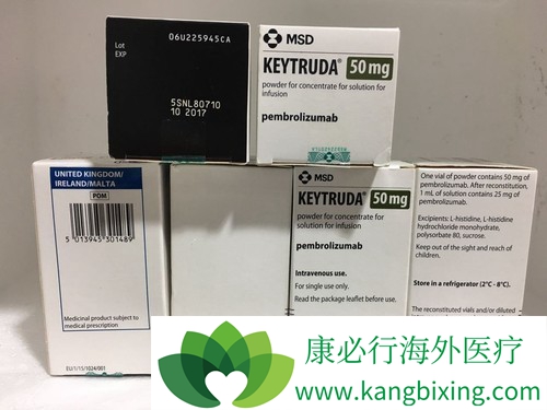 ����θ��PD-1���Ƽ�KeytrudaЧ����ô��