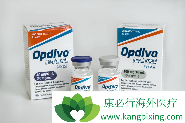 ��ϸ������������ʹ��OpdivoЧ����