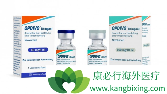 ���䵥���ύ�й��������� �񽫳�Ϊ�׿�PD-1ҩ��