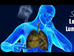 �ΰ����Ʒ����ǻ�ѧҩ�����Ʒΰ��ļ��