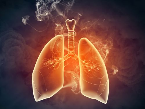 ��ѧ��ʳ�ķΰ����ڳ�ʲô��