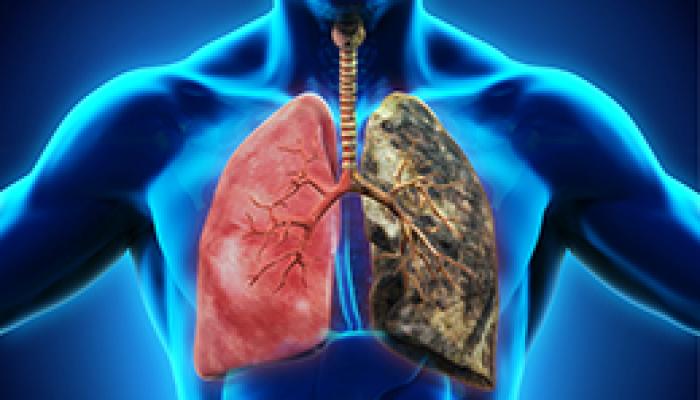 ���������İ�֢���˳�ʲô��