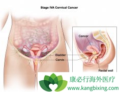 ���ڷ��ֵĹ��������κ���