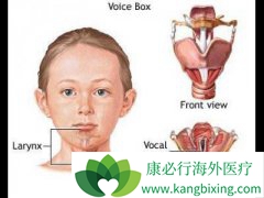 ���ʲ������ձ��ʳ����������֢״