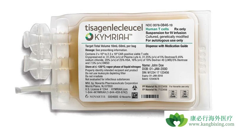 CAR-Tϸ�������Ʒ����ܽ����ư��̲�