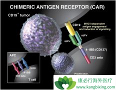 KYMRIAH�������Ƹ����Ի������Դ�Bϸ���ܰ���