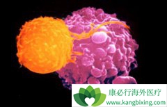 YESCARTA���ƴ�Bϸ���ܰ������ӳ�������