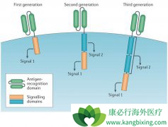 ������YESCARTA�������������Դ�Bϸ���ܰ���
