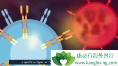 CAR-T�Ʒ�YESCARTA�����������Դ�Bϸ���ܰ���