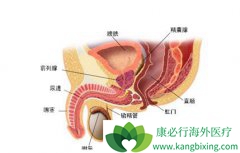 ǰ���ٰ�֢������ǰ����ϸ�����������