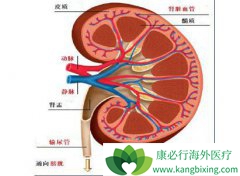 ��������֢״һ��������ɢת�Ƶ����