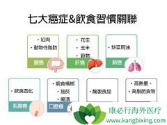 ��֢ʳ�ƶ�����ϸ����˵����ѧ��