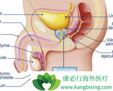 ����������ǰ���ٰ�֢״����Щ