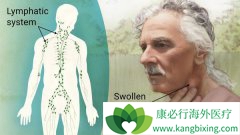 �ǻ�����ܰ�����NHL���Ǿ��к�ǿ�����Ե�һ������������ܳ�