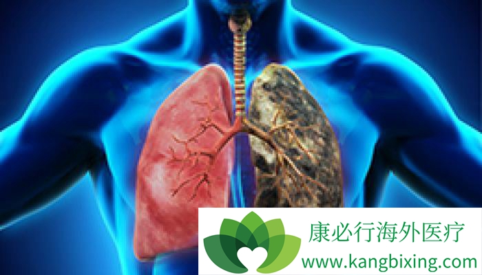 �ΰ�����������