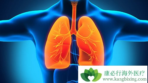 �ΰ�����