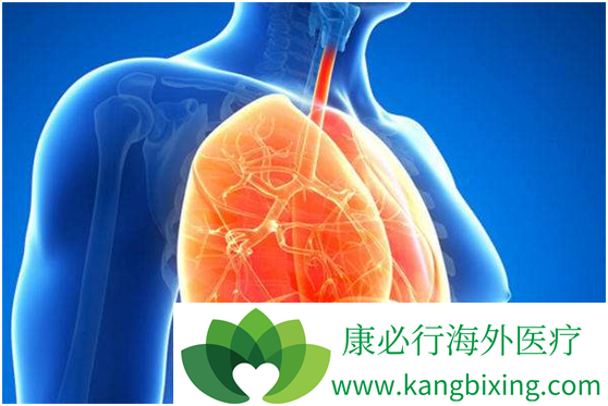 �ΰ���������Ʒ���