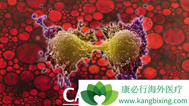 ��֢������֢״