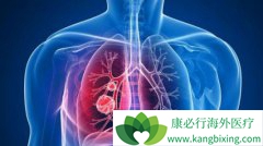 �ΰ����ڻ��ܻ����ǻ����������ͬ���ĵ�