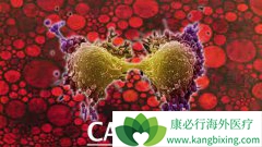 ����Щ�����İ�֢������֢״