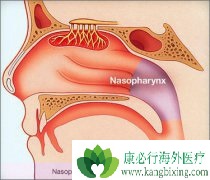 ���ʰ�֢״�����֢״����Щ����