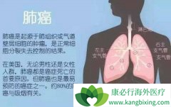 PD-1���Ƽ������˰�֢���ڻ������ư�֢�ľ���