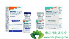 PD-1(���䵥��)��ҩ����PD-1(atezolizumab)ע�����