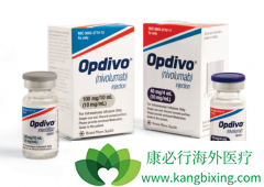 PD-1(nivolumab)����֢PD-1(Opdivo)���򷽷����ܣ�