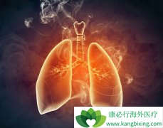 ��Сϸ���ΰ�������Ĥת�ƵĽ������