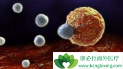 ���������Ʒ�CAR-T�Ʒ�Ч����ô��