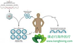 �����Ʒ����ư�֢��ʱ���Ѿ�����