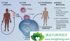 ŵ��Kymriah��ȫ���׸�������CAR-T�Ʒ�ҩ��