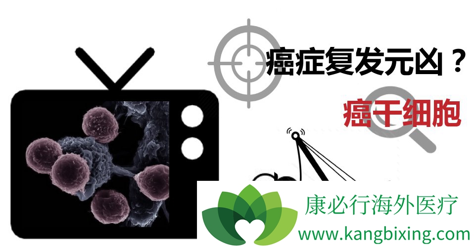 ��֢����