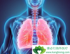 �ΰ�������ʳ����Щ��Ҫע��ĵط�