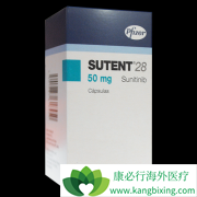 ��������(Sunitinib)��Ӧ֢����������(sutent)˵������ȫ���ܣ�