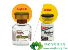 PD-1(Keytruda)��Ӧ֢��PD-1(��Ȭ��)˵������ܣ�