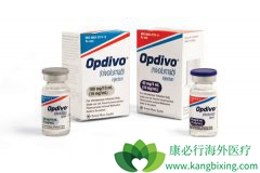 PD-1(Keytruda)ע��������PD-1(��Ȭ��)���û��ƽ��ܣ�