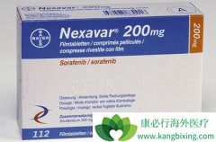 ��������(�༪��)��ҩ�����Լ���������(SORAFENIB)������ӦΣ������