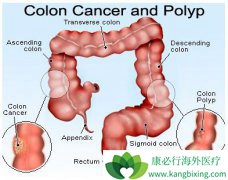 �˽���ʶ����ֱ����֢״������Ԥ���ò�