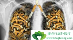 �ΰ����������չ���˷ΰ����ڴ�Ⱦ��