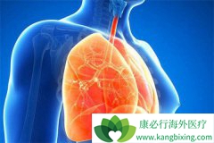 �ΰ���ת�Ƶķ����ʸ���������֢