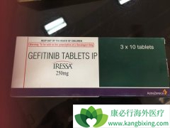 ��������(GEFINAT)��ҩ�����뼪������(GEFITINIB)����֢����Щ��