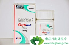 ���ڳԼ�������(GEFINAT)��Ҫ��������Щ��飿