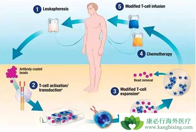 ϸ�������Ʒ�